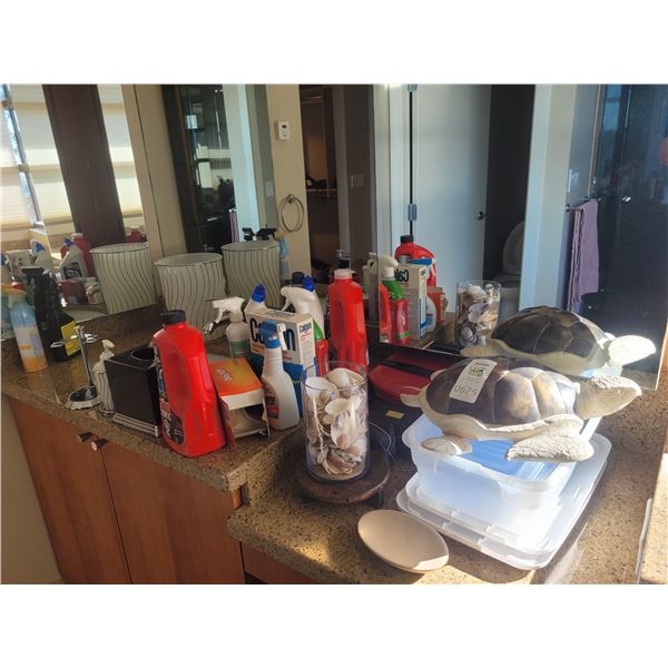 Cleaning supplies plus Cat A