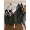 Image 2 : Shoe lot Cat A