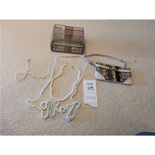 Coach wallet plus costume jewelry Cat A