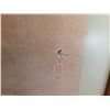 Image 4 : Framed prints lot. Cat A