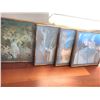 Image 6 : Framed prints lot. Cat A
