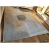 Image 1 : Large rug Cat C