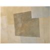 Image 6 : Large rug Cat C