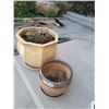 Image 2 : Ceramic planters Cat B