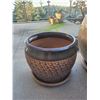 Image 5 : Ceramic planters Cat B