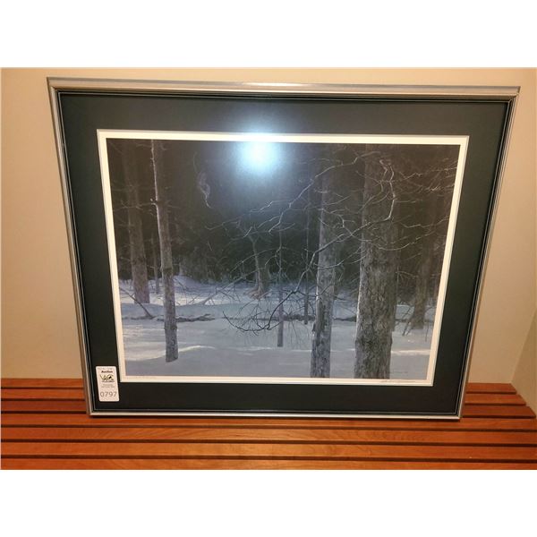 Robert Bateman Midnight -Black Wolf B