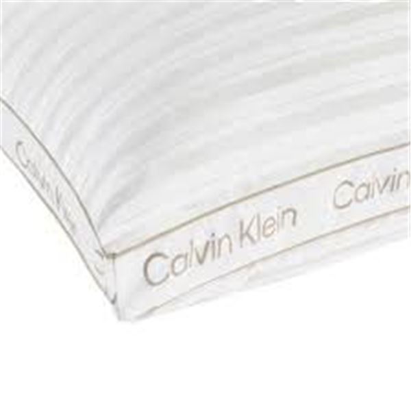 NEW CALVIN KLEIN 2PK MODEERN STRIPE PILLOWS QUEEN