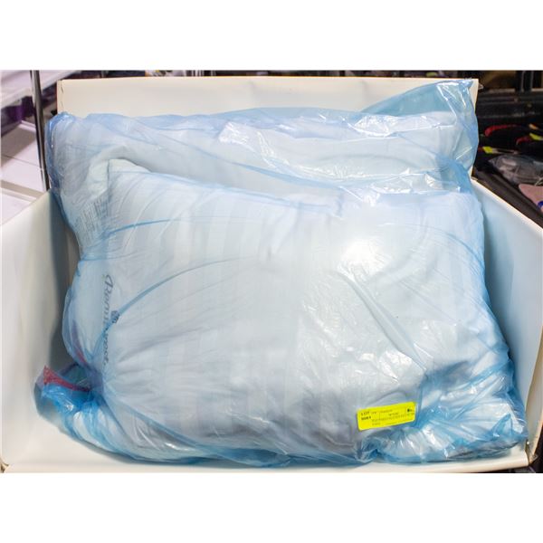 BEAUTYREST FEATHER PILLOW 2PK QUEEN