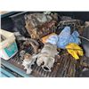 Image 8 : 1994 Mazda Ranger Truck, 4L engine, showing 253,424 km, 31X10.50 R15 LT rubber, new cylinder heads,
