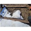 Image 2 : 72 inch Bobcat forks