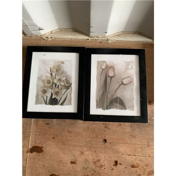2- Floral pictures c/w frame