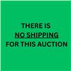 Image 1 : NO SHIPPING FOR THIS AUCTION