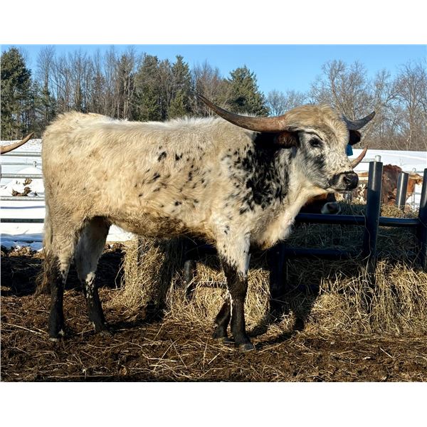 HUBBELLS 20 GLEE 2416