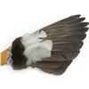Image 2 : Pacific North West Eagle Feathered Leather Smudge Fan (19" x 8")