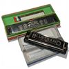 Image 2 : Penny Whistle, Tin Whistle and 2 Hohner Harmonicas