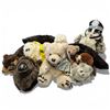 Image 1 : Shelf Lot of Mid-Sized Stuffed Toys