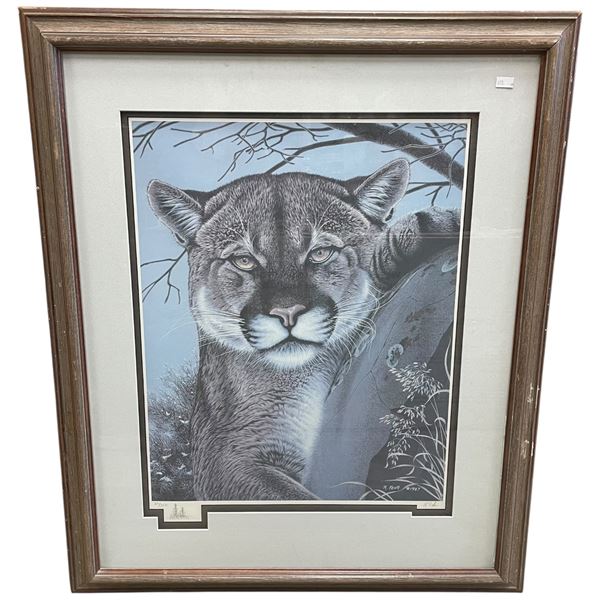 Framed Vintage Wildlife Art Print Cougar Randy Fehr Watchful Eye 22/250 25x30.5-Inch