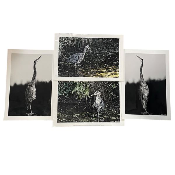 Set of 4 Heron Prints Unframed by Doug Lamadin 13.5-Inch Length 19-Inch Height