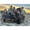 Image 1 : Record Buck Ranch- 3 Day/ 2 Night Fallow Buck for 1 hunter & 1 Observer