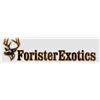 Image 2 : Forister Ranch- 3 Day/ 2 Night Mouflon Hunt for 1 Hunter & 1 Observer