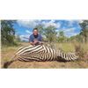 Image 3 : Nooitgedact Safaris- Limpopo South Africa 6 Days, 2 Hunters