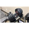 Image 4 : PAIR OF BOWFLEX ADJUSTABLE DUMBBELLS WITH STAND