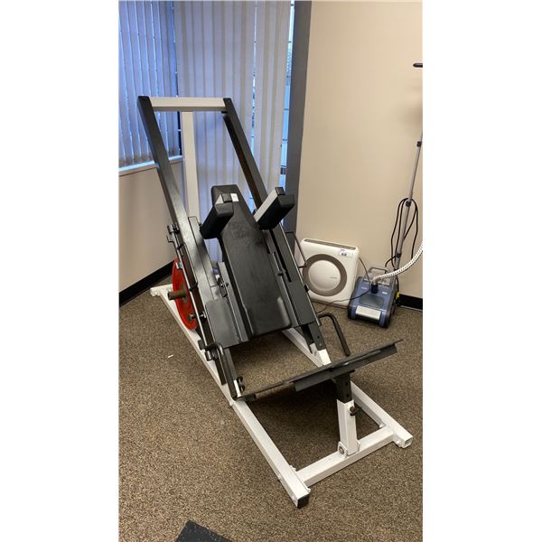 NORTHERN LIGHTS LEG/SQUAT MACHINE