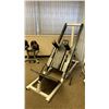 Image 2 : NORTHERN LIGHTS LEG/SQUAT MACHINE