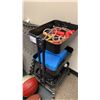 Image 4 : GROUP OF ASSORTED EXERCISE EQUIPMENT, GYM MATS, LIFTING BELTS, BALLS & MORE