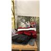Image 1 : GROW TENT PARTS, CHRISTMAS TREE & ARTWORK