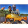 Image 2 : 5 DAY ACCOMMODATION FOR 2 HUNTERS 1 WILDBOAR TROPHY FEE PER HUNTER & Golden Dorado Fishing