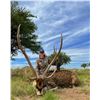 Image 6 : 5 DAY ACCOMMODATION FOR 2 HUNTERS 1 WILDBOAR TROPHY FEE PER HUNTER & Golden Dorado Fishing