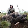 Image 8 : 5 DAY ACCOMMODATION FOR 2 HUNTERS 1 WILDBOAR TROPHY FEE PER HUNTER & Golden Dorado Fishing