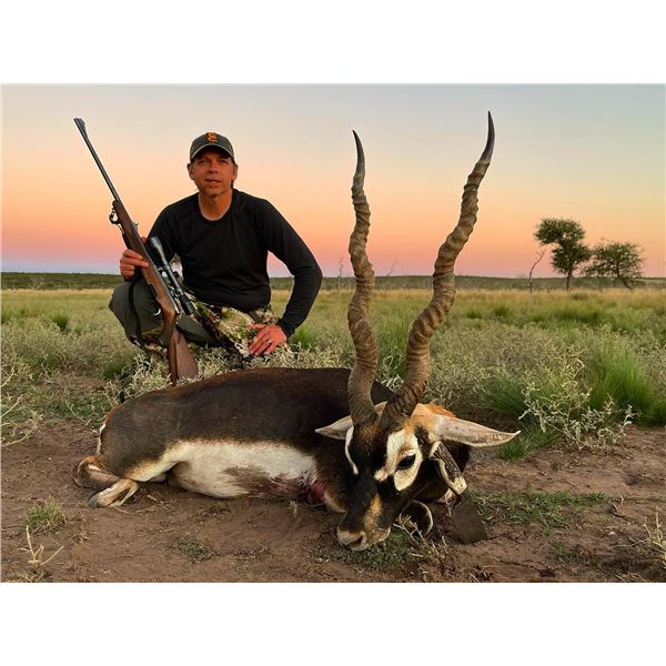 5 DAYS HUNT FULL LODGING FOR 4 HUNTERS (DAILY RATES) + 1 BLACKBUCK + 1 PATAGONIC RAM + 2 WILD BOARS