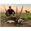 Image 1 : 5 DAYS HUNT FULL LODGING FOR 4 HUNTERS (DAILY RATES) + 1 BLACKBUCK + 1 PATAGONIC RAM + 2 WILD BOARS