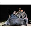 Image 7 : 5 DAYS HUNT FULL LODGING FOR 4 HUNTERS (DAILY RATES) + 1 BLACKBUCK + 1 PATAGONIC RAM + 2 WILD BOARS