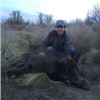 Image 9 : 5 DAYS HUNT FULL LODGING FOR 4 HUNTERS (DAILY RATES) + 1 BLACKBUCK + 1 PATAGONIC RAM + 2 WILD BOARS