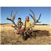 Image 5 : 3 Day Amazing Spanish Hunt for 1 Iberian Red Deer for 1 Hunter with Giuseppe Carrizosa – SP
