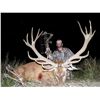 Image 3 : Spectacular 6 Day/5 Night Hunt in Argentina with Estancia El Carrizal for 1 Red Stag and 1 Blackbuck