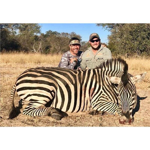 10-Day All-Inclusive South Africa Plains Game Hunt for 1 in the Limpopo Valley Zebra Impala Warthog