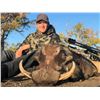 Image 5 : 10-Day All-Inclusive South Africa Plains Game Hunt for 1 Hunter in the Limpopo Valley