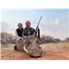 Image 3 : 10-Day South Africa Plains Game Hunt for 1 Hunter in the Limpopo Valley * Wildebeest Warthog Impala