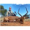 Image 4 : 10-Day South Africa Plains Game Hunt for 1 Hunter in the Limpopo Valley * Wildebeest Warthog Impala