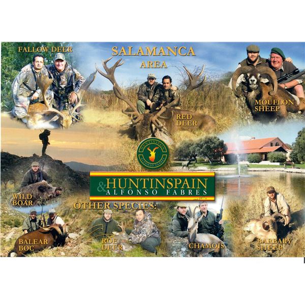 Amazing hunt in Slamanca, Spain for 1 Hunter for a Fallow Deer, Mouflon Sheep or a Roe Deer