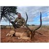 Image 4 : 7 Day/6 Night All Inclusive South Africa Plains Game Hunt for 4 Hunters in South Africa