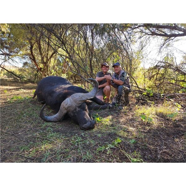 5-Day South Africa Cape Buffalo hunt for 1 Hunter/1 Non-Hunter with Jannie Otto Safaris
