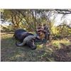 Image 1 : 5-Day South Africa Cape Buffalo hunt for 1 Hunter/1 Non-Hunter with Jannie Otto Safaris