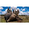 Image 3 : 5-Day South Africa Cape Buffalo hunt for 1 Hunter/1 Non-Hunter with Jannie Otto Safaris