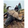 Image 4 : 5-Day South Africa Cape Buffalo hunt for 1 Hunter/1 Non-Hunter with Jannie Otto Safaris