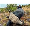 Image 6 : 5-Day South Africa Cape Buffalo hunt for 1 Hunter/1 Non-Hunter with Jannie Otto Safaris